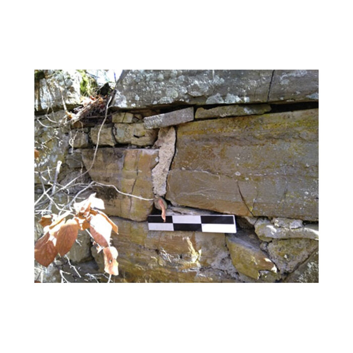 snimka-site-izlojnba-20-04-2023_700x700_pad_478b24840a