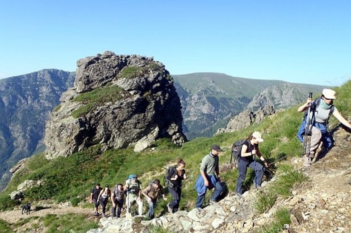 resize-on-the-fly_700x700_fit_478b24840a