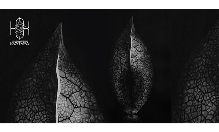 344579773-612307217479663-1235228751937114414-n_700x700_fit_478b24840a