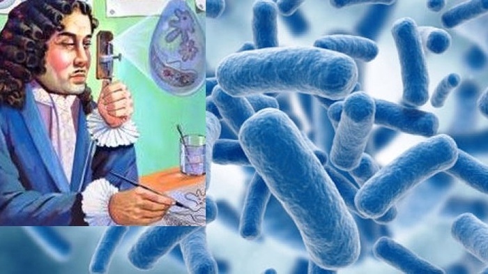 207266a2a4d1193bbc2ea57214969d50_700x700_fit_478b24840a