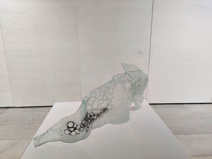 371859348-251404771200946-4987090500560789614-n_700x700_fit_478b24840a