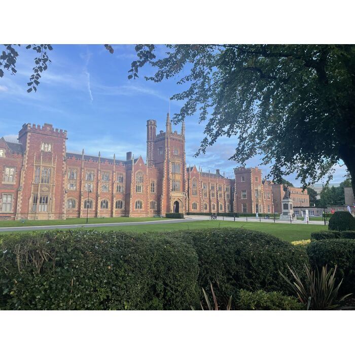 img-2803_700x700_pad_478b24840a