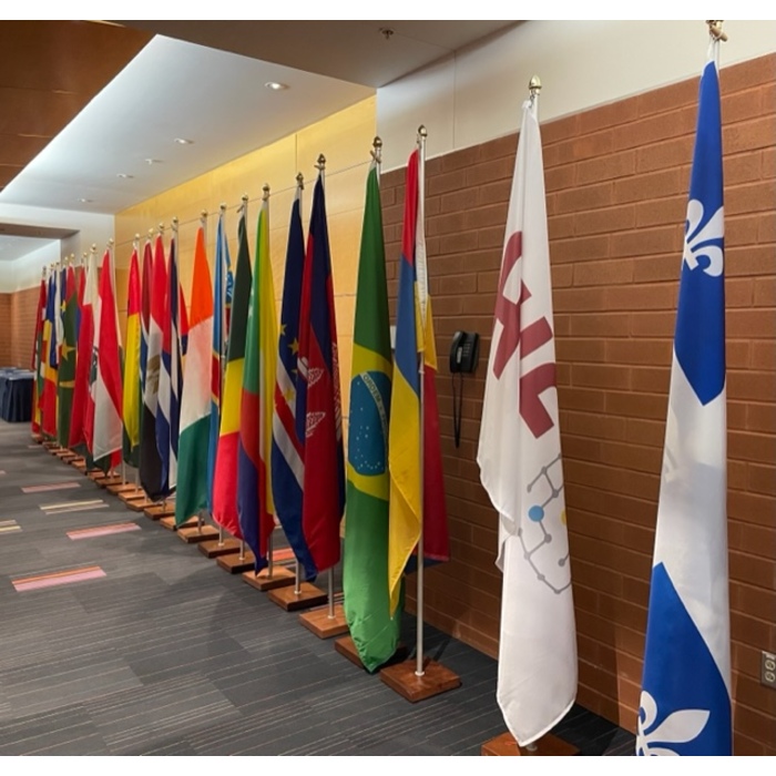 img-9625_700x700_pad_478b24840a