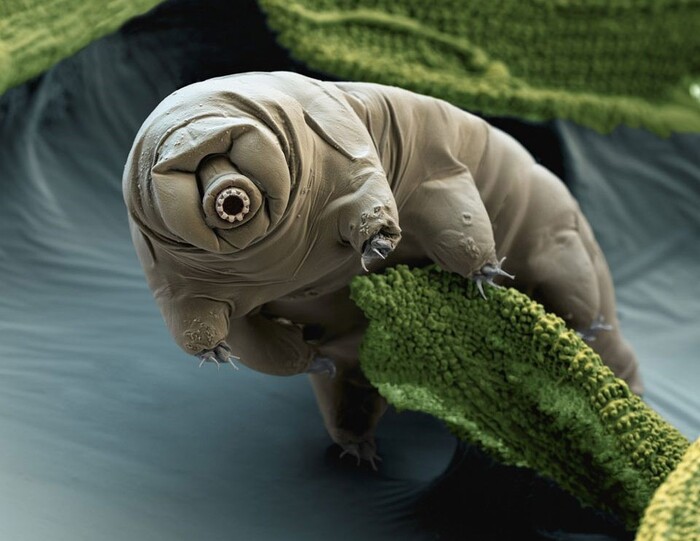 12_700x700_fit_478b24840a