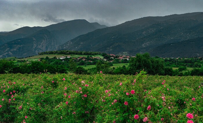 dolinata_700x700_fit_478b24840a