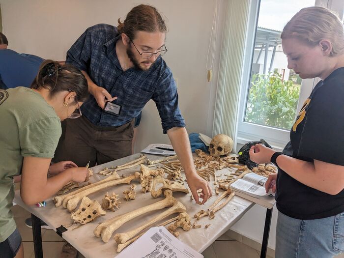 pxl-20230628-112450658-mp_700x700_fit_478b24840a