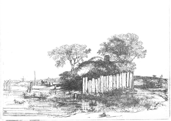 img-7061_700x700_fit_478b24840a