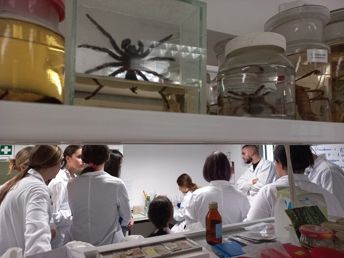 img-3de7e0fb22a38c2efc9b26d626a27eb0-v_700x700_fit_478b24840a