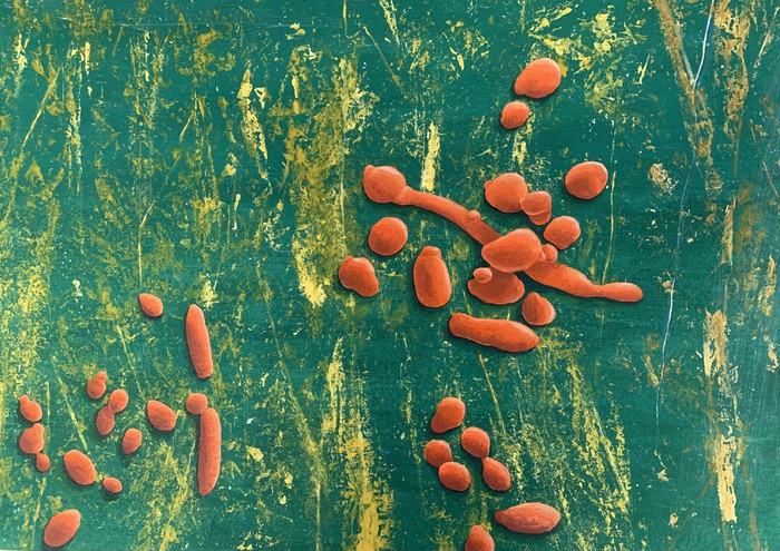 img-5759_700x700_fit_478b24840a