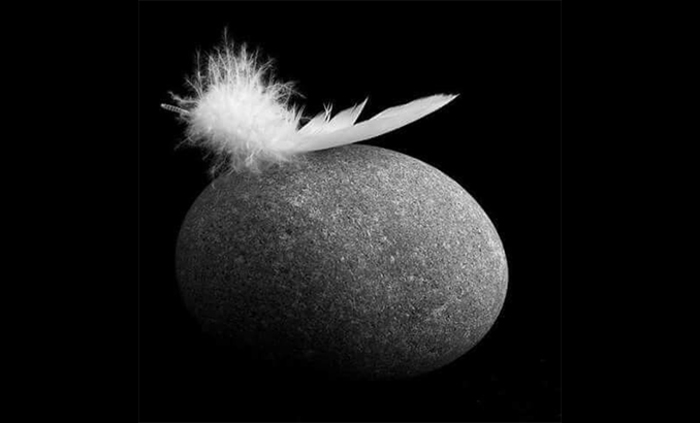 3_700x700_fit_478b24840a