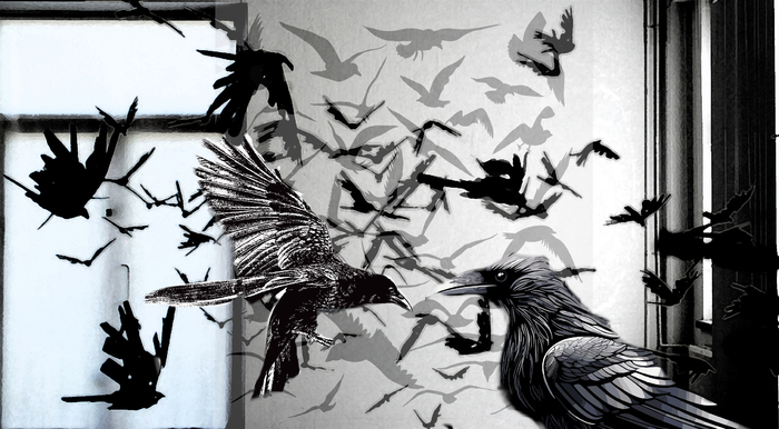 zoo1_700x700_fit_478b24840a