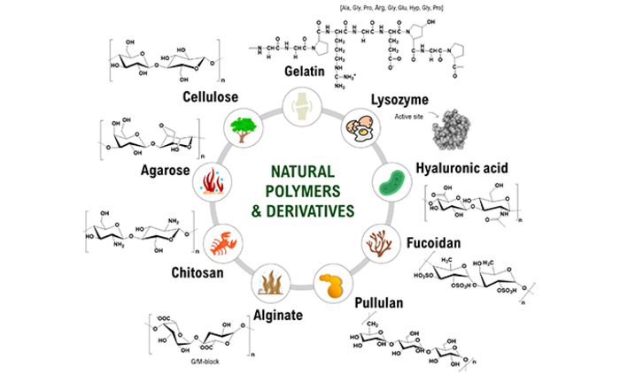 untitled-1_700x700_fit_478b24840a