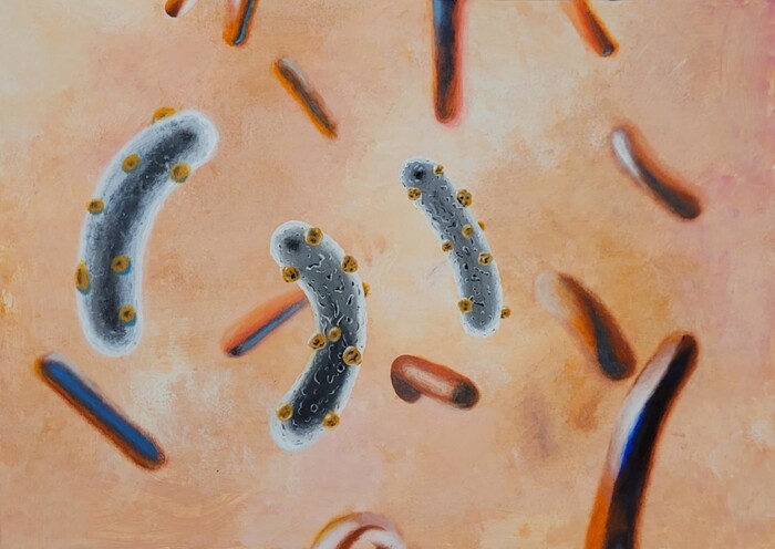 vvid-k-fg_700x700_fit_478b24840a