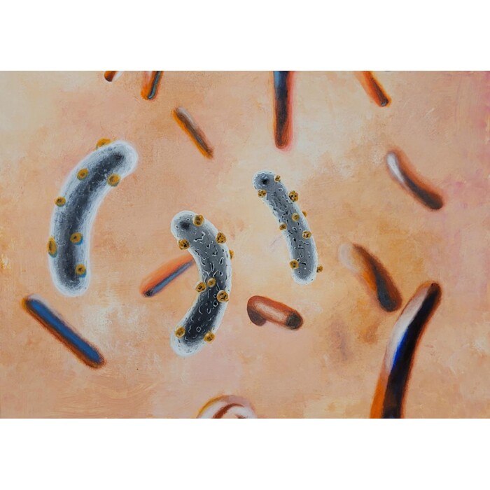 vvid-k-fg_700x700_pad_478b24840a