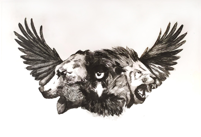 plamen-panayotov_700x700_fit_478b24840a