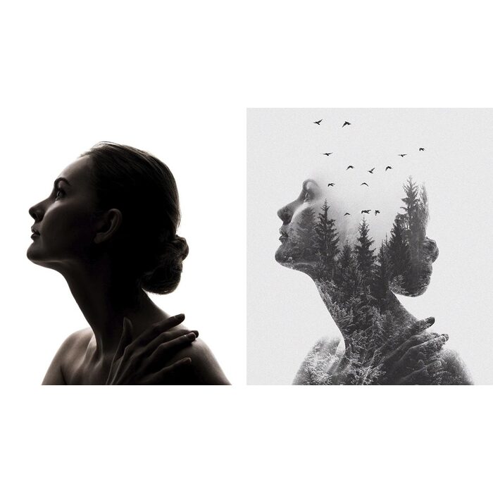 izlozhba_700x700_pad_478b24840a