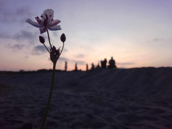 m-lm-ic3-h3_700x700_fit_478b24840a