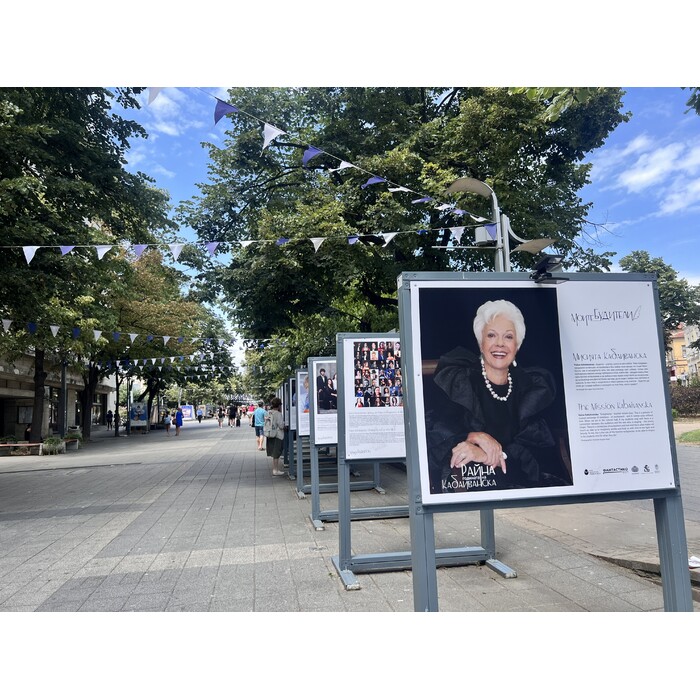 1_700x700_pad_478b24840a