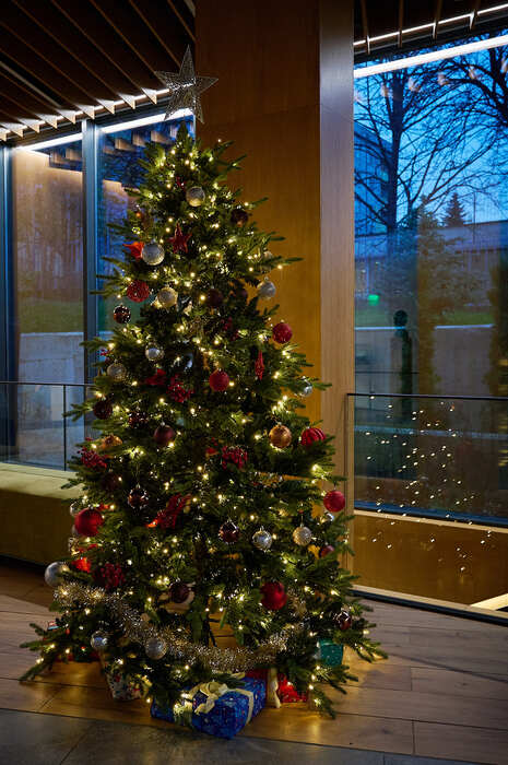 koledna-ukrasa-nbu-2025-ip-3_700x700_fit_478b24840a