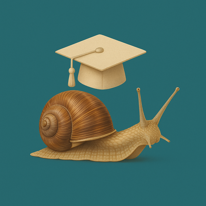 chat-gpt-image-dec-2-2025-11-10-16-am_700x700_fit_478b24840a