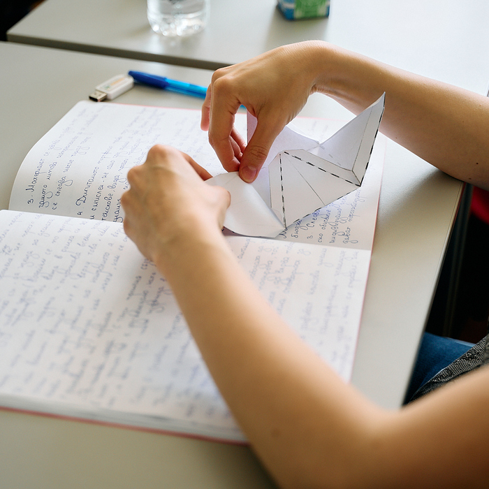 origami_700x700_pad_478b24840a