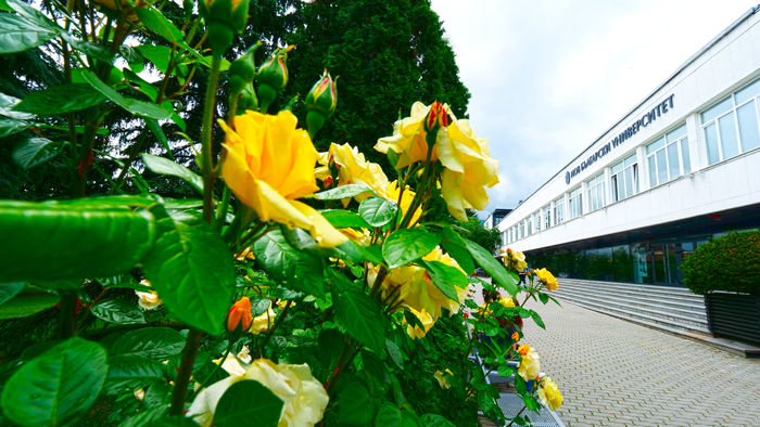 1333559-copy_700x700_fit_478b24840a