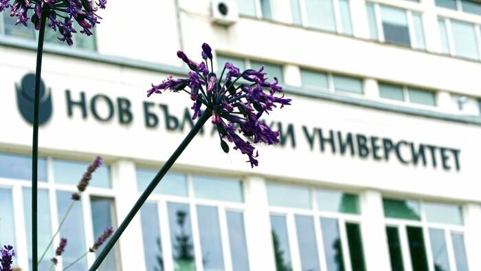 1366862_700x700_fit_478b24840a