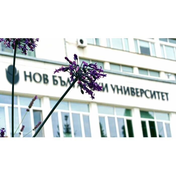 1366862_700x700_pad_478b24840a