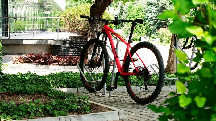 1377184_700x700_fit_478b24840a