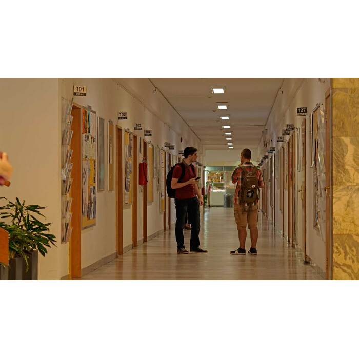 1377532_700x700_pad_478b24840a