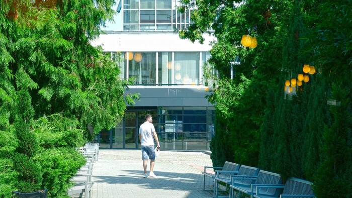 1377594_700x700_fit_478b24840a