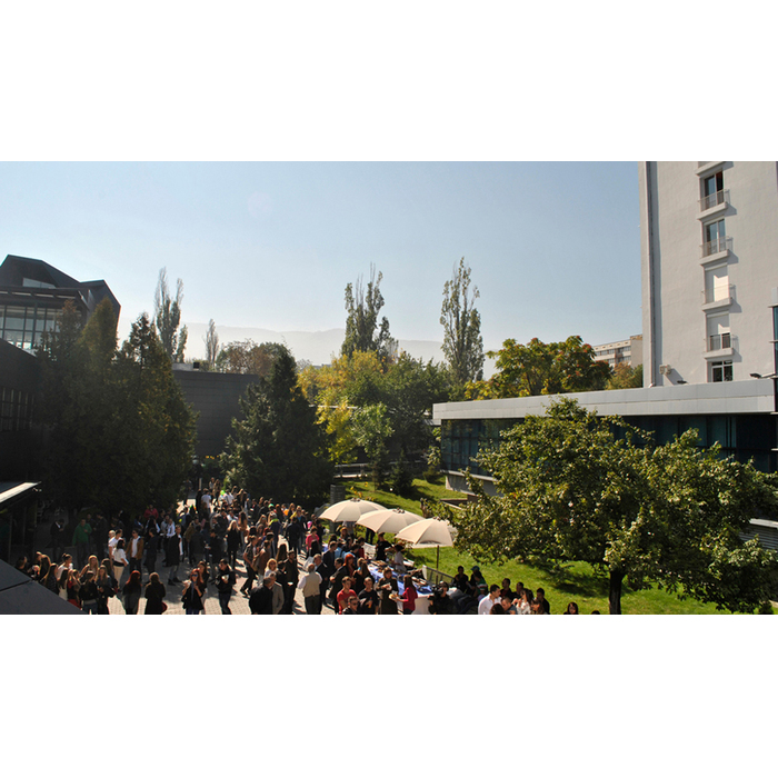 bp_700x700_pad_478b24840a