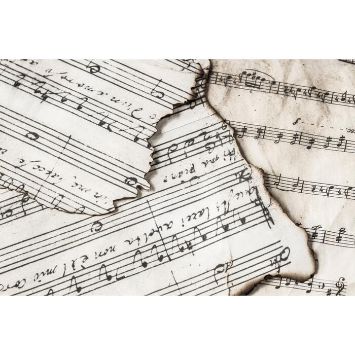 burnt-close-up-composition-934067_700x700_pad_478b24840a