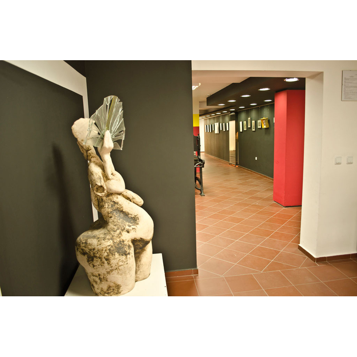 dsc-0014-copy_700x700_pad_478b24840a