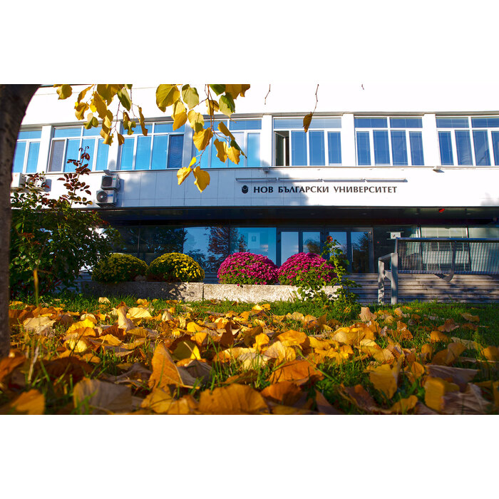 dsc-0018_700x700_pad_478b24840a