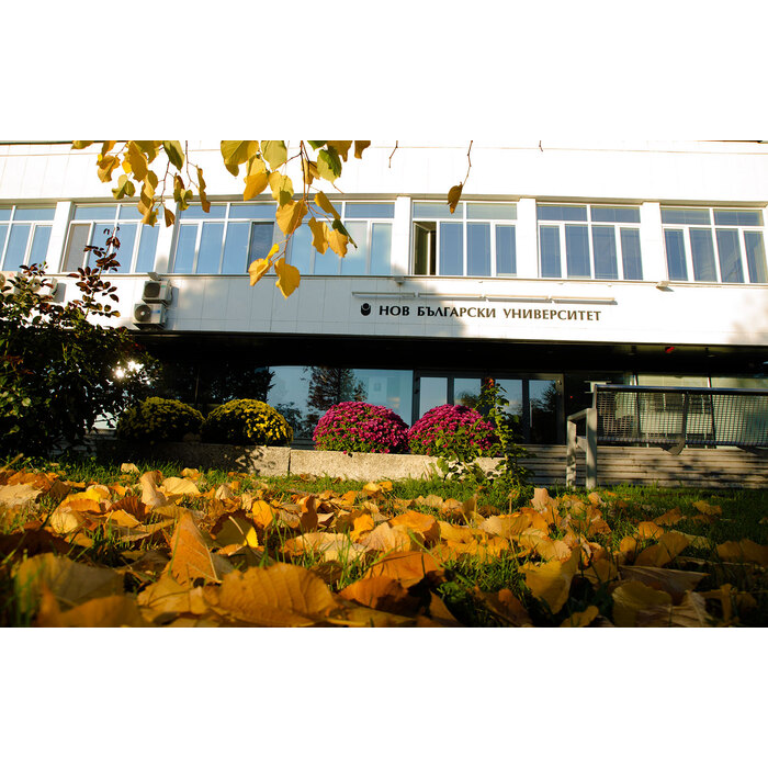 dsc-0019_700x700_pad_478b24840a