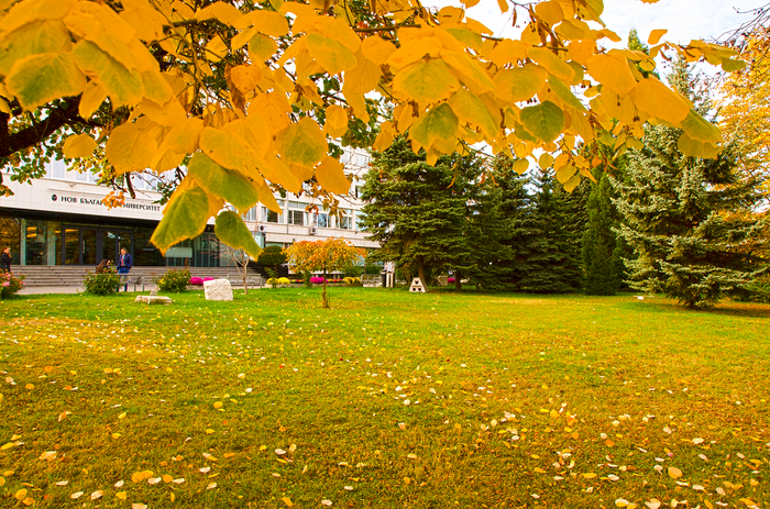 dsc-0047_700x700_fit_478b24840a