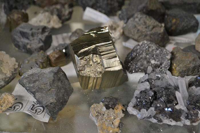 dsc-0969_700x700_fit_478b24840a