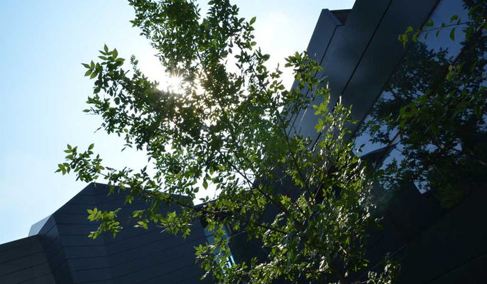 dsc-4586_700x700_fit_478b24840a