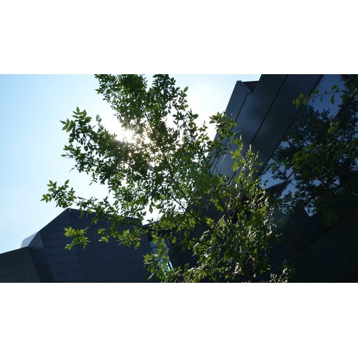 dsc-4586_700x700_pad_478b24840a