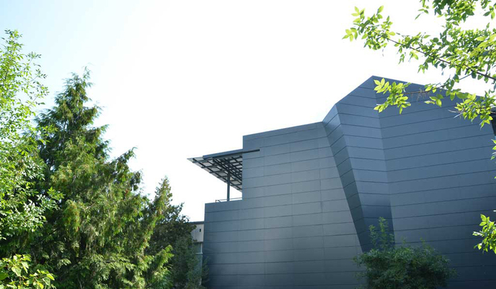 dsc-4595-copy_700x700_fit_478b24840a