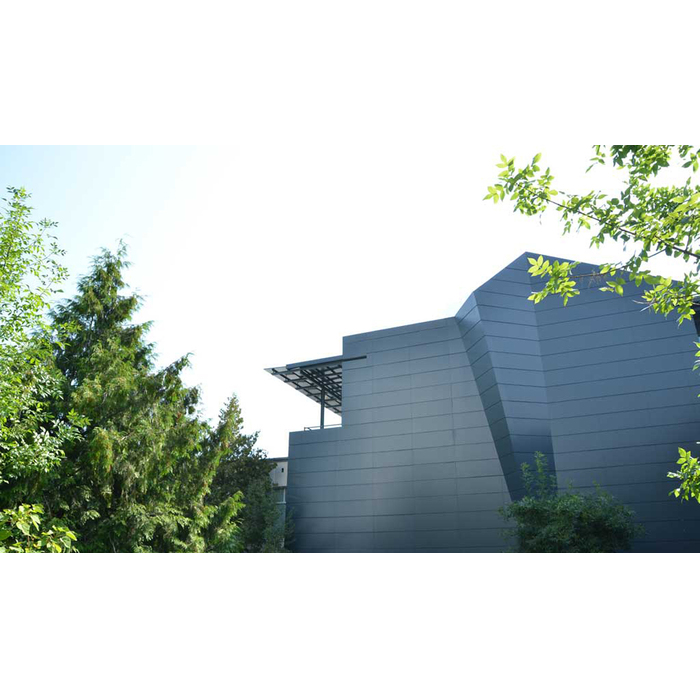 dsc-4595-copy_700x700_pad_478b24840a