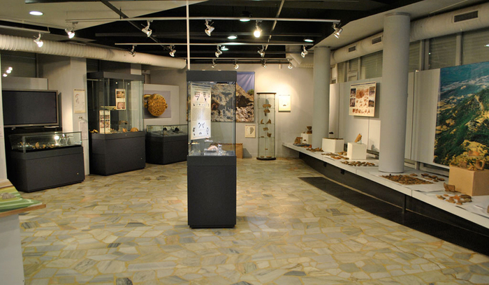 dsc0002-2_700x700_fit_478b24840a