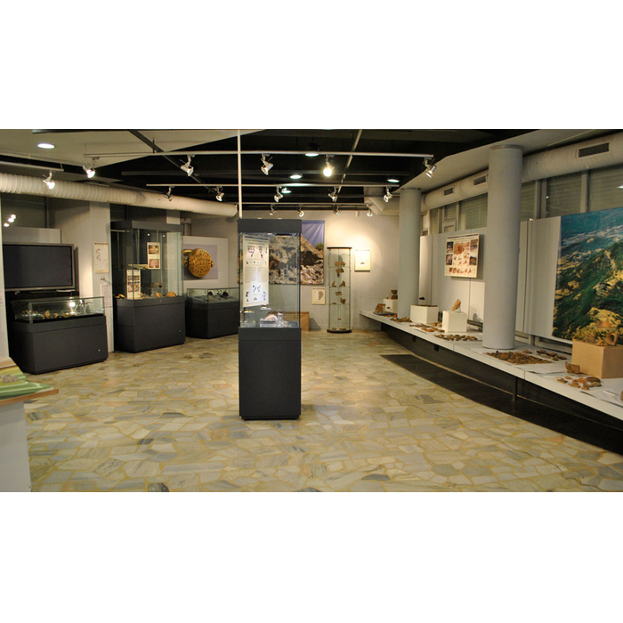 dsc0002-2_700x700_pad_478b24840a