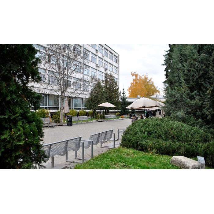 dsc0006_700x700_pad_478b24840a