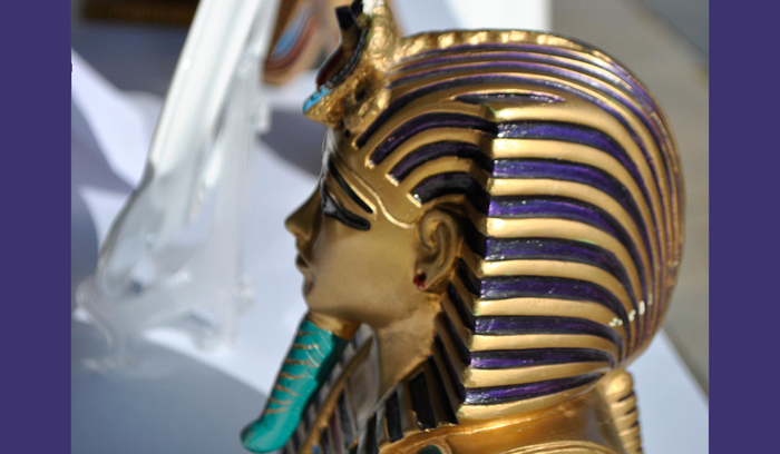 dsc0022_700x700_fit_478b24840a