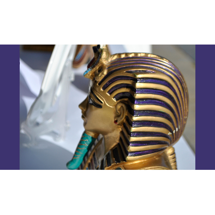 dsc0022_700x700_pad_478b24840a