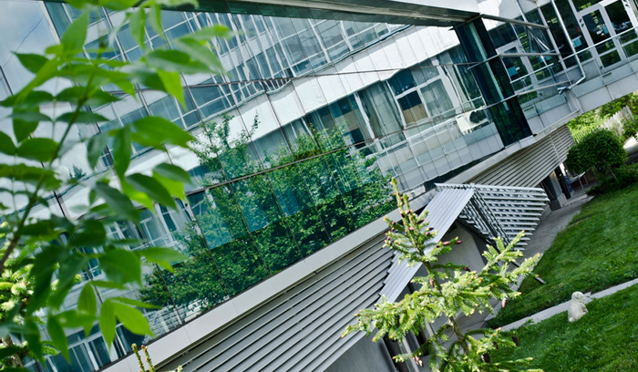 dsc0084-copy_700x700_fit_478b24840a