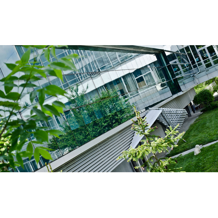 dsc0084-copy_700x700_pad_478b24840a