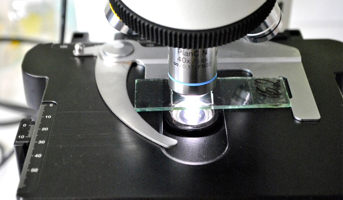 dsc0128_700x700_fit_478b24840a